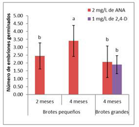 Embriones germinados en Perezia coerulescens